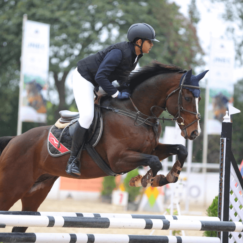 Elite Equestrian (Horse Riding)